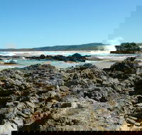 Coastal Walks - Bermagui - Accommodation Nelson Bay