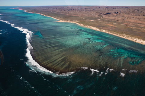 Complete Ningaloo Reef Experience - Accommodation Nelson Bay 2