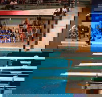 Dive Into History at Sydney Olympic Park Aquatic Centre - Accommodation Nelson Bay