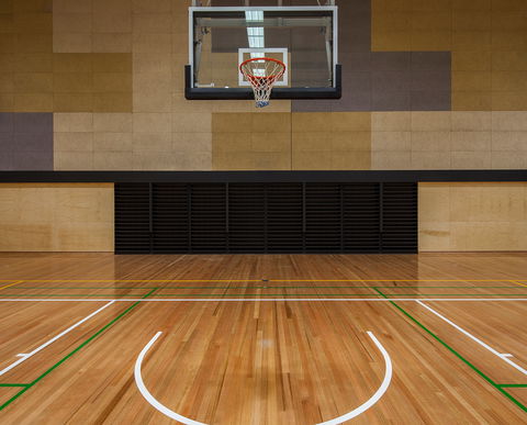 Eagle Stadium - Accommodation Nelson Bay 0