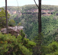 East Rim wildflower walking track - Accommodation Nelson Bay