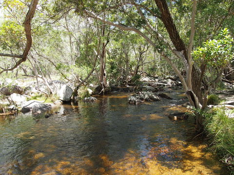 Emerald Creek, Dinden West Forest Reserve - Accommodation Nelson Bay 1