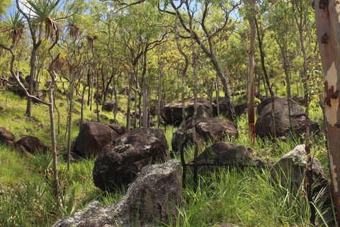 Emerald Creek, Dinden West Forest Reserve - Accommodation Nelson Bay 2