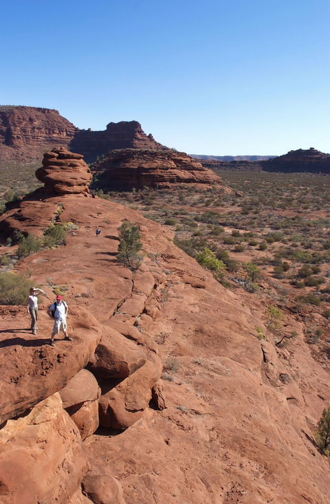 Finke Gorge National Park - Accommodation Nelson Bay 0
