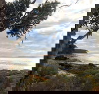 Fish Cannery Walking Trail - Accommodation Nelson Bay