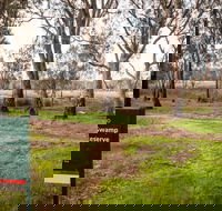 Gemmill Swamp Wildlife Reserve - Accommodation Nelson Bay