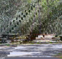 Goonoowigall State Conservation Area - Accommodation Nelson Bay