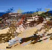 Gundersen Reserve - Accommodation Nelson Bay
