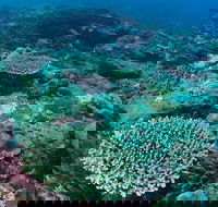 Hanging Rock Dive Site - Accommodation Nelson Bay