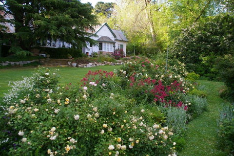 Heysen - The Cedars - Accommodation Nelson Bay 0