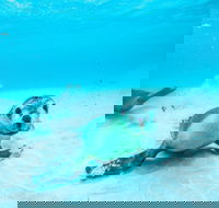 Jurien Bay - Accommodation Nelson Bay