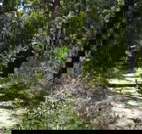 Karloo Walking Track - Accommodation Nelson Bay