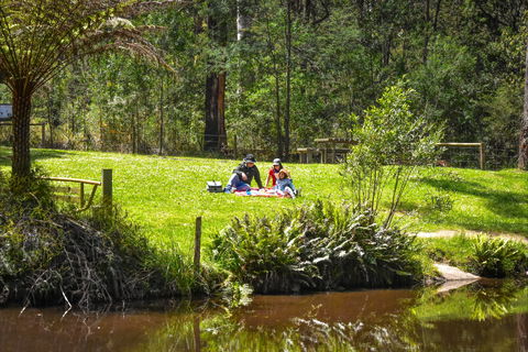 Kurth Kiln Regional Park - Accommodation Nelson Bay 1