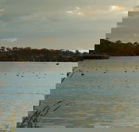 Lake Inverell Reserve - Accommodation Nelson Bay