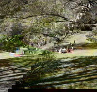 Leura Cascades picnic area - Accommodation Nelson Bay