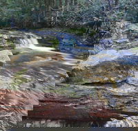 Liffey Falls Reserve - Accommodation Nelson Bay