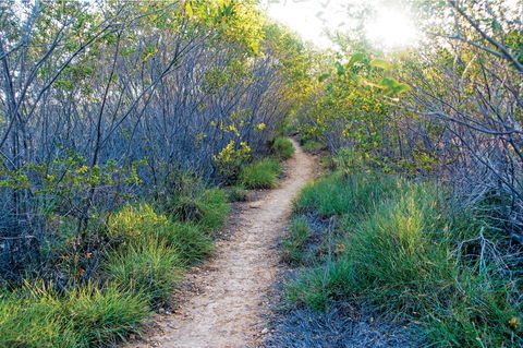Minerva Hills National Park - Accommodation Nelson Bay 2