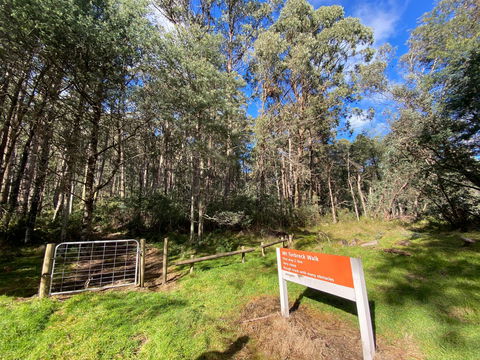 Mount Torbreck Summit Walk - Accommodation Nelson Bay 1