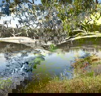 Murray Valley National Park - Accommodation Nelson Bay