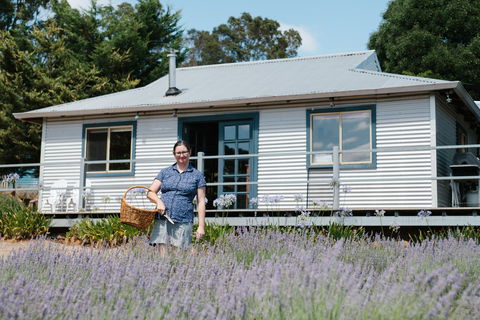 Nannup Lavender Farm - Accommodation Nelson Bay 1