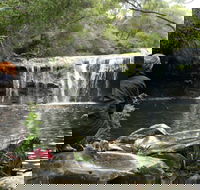 Nellies Glen Picnic Area - Accommodation Nelson Bay