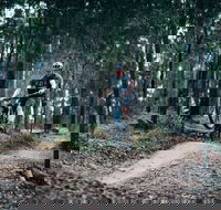 Nerang Mountain Bike Trails - Accommodation Nelson Bay