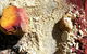 Ochre Pits - thumb 1