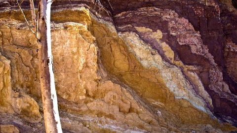 Ochre Pits - Accommodation Nelson Bay 2