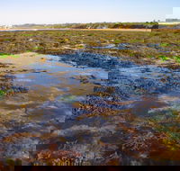 Point Danger Marine Sanctuary - Accommodation Nelson Bay