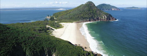 Port Stephens Great Lakes Marine Park - Accommodation Nelson Bay 0