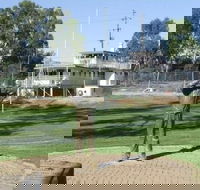 Possum Statue - Accommodation Nelson Bay