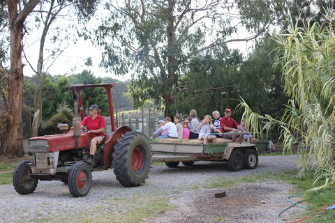 Rain Hayne And Shine Farmyard - Accommodation Nelson Bay 1