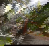 Roraima Nursery and Cafe