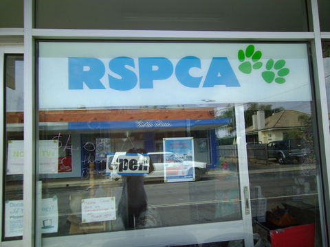 R.S.P.C.A Opportunity Shop - Accommodation Nelson Bay 0