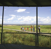 Tamar Island Wetlands Centre and Reserve - Accommodation Nelson Bay