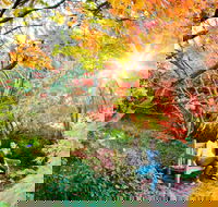 The Blue Mountains Botanic Garden Mount Tomah - Accommodation Nelson Bay
