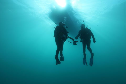 The Arches Marine Sanctuary - Accommodation Nelson Bay 0