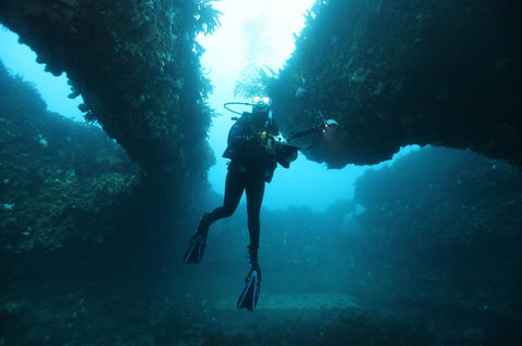 The Arches Marine Sanctuary - Accommodation Nelson Bay 1