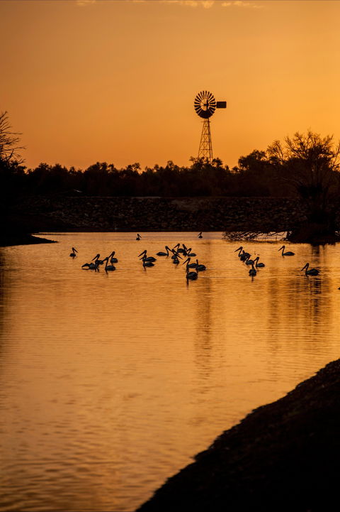 Thomson River, Longreach - Accommodation Nelson Bay 2