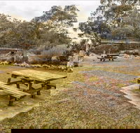 Thredbo River picnic area - Accommodation Nelson Bay