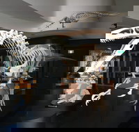 UNE Natural History Museum - Nelsons Bay Accommodation