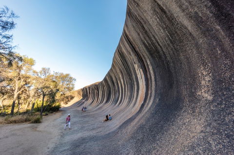 Wave Rock Wildflower Trail - Accommodation Nelson Bay 0