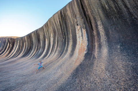 Wave Rock Wildflower Trail - Accommodation Nelson Bay 2
