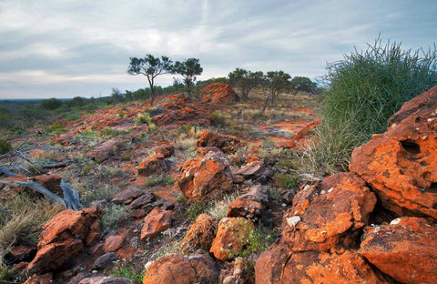 Western Ridge Walk - Accommodation Nelson Bay 0