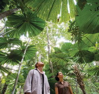 Wet Tropics Rainforest - Accommodation Nelson Bay