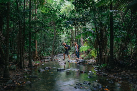 Wet Tropics Rainforest - Accommodation Nelson Bay 2