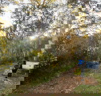 Yarrangobilly Caves  River walk - Accommodation Nelson Bay