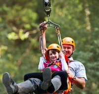 Zipline at Illawarra Fly - Accommodation Nelson Bay