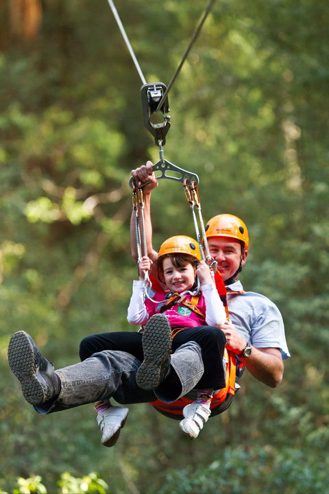 Zipline At Illawarra Fly - Accommodation Nelson Bay 0