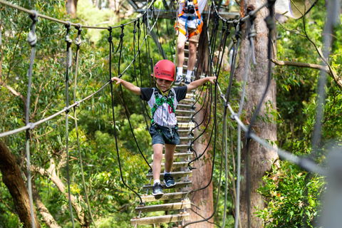 Zipline At Illawarra Fly - Accommodation Nelson Bay 1